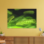 Microscopisch Uitzicht van bacteriën 1 Canvas Afdruk (Insitu (Woonkamer))
