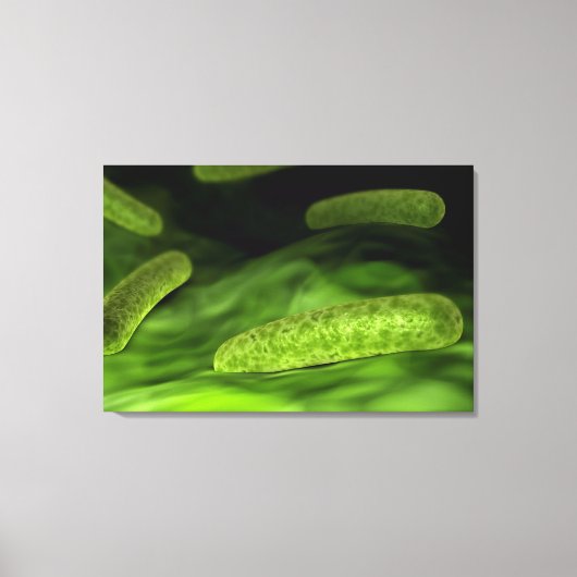 Microscopisch Uitzicht van bacteriën 1 Canvas Afdruk (Voorkant)