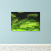 Microscopisch Uitzicht van bacteriën 1 Canvas Afdruk (Insitu (Houten vloer))
