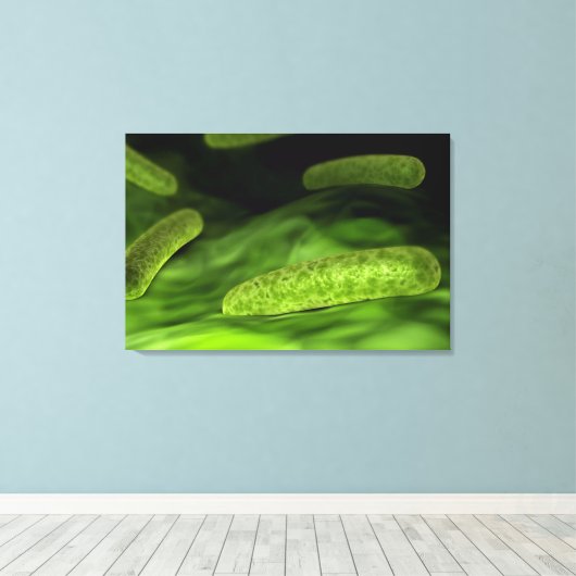 Microscopisch Uitzicht van bacteriën 1 Canvas Afdruk (Insitu (Houten vloer))