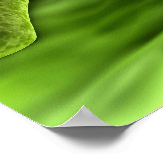 Microscopisch Uitzicht van bacteriën 1 Poster (Hoek)