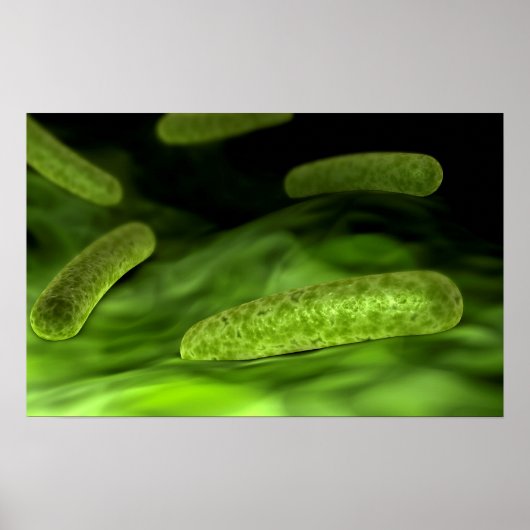Microscopisch Uitzicht van bacteriën 1 Poster (Voorkant)