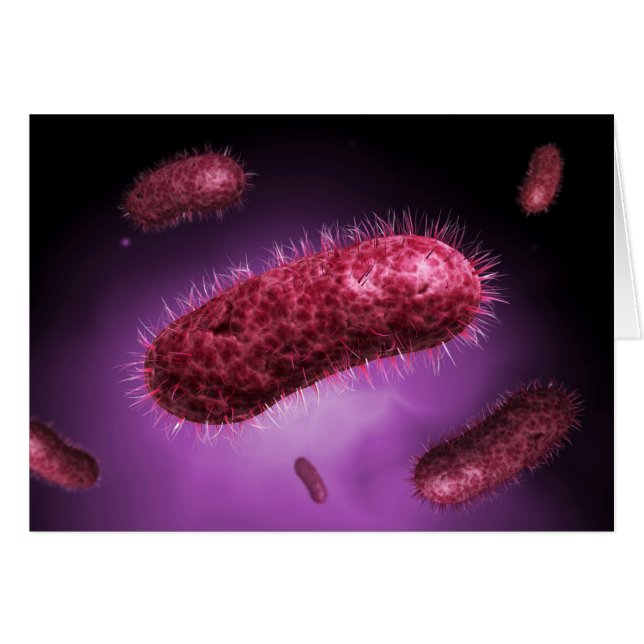 Microscopisch Uitzicht van bacteriën 2 (Voorkant Horizontaal)