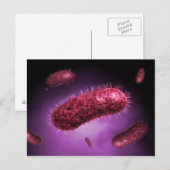 Microscopisch Uitzicht van bacteriën 2 Briefkaart (Voorkant / Achterkant)