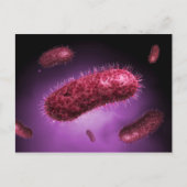 Microscopisch Uitzicht van bacteriën 2 Briefkaart (Voorkant)