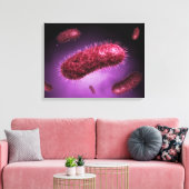Microscopisch Uitzicht van bacteriën 2 Canvas Afdruk (Insitu (Woonkamer))