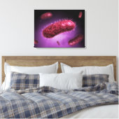 Microscopisch Uitzicht van bacteriën 2 Canvas Afdruk (Insitu (Slaapkamer))