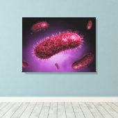 Microscopisch Uitzicht van bacteriën 2 Canvas Afdruk (Insitu (Houten vloer))