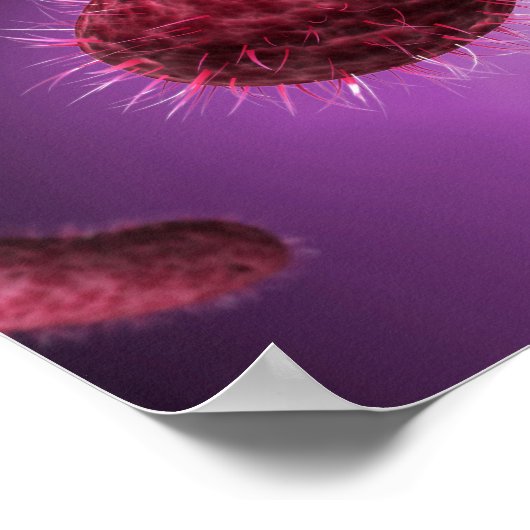 Microscopisch Uitzicht van bacteriën 2 Poster (Hoek)