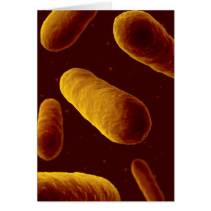 Microscopisch Uitzicht van bacteriën 3