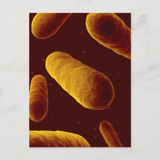 Microscopisch Uitzicht van bacteriën 3 Briefkaart (Voorkant)