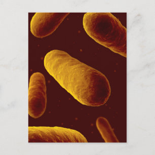 Microscopisch Uitzicht van bacteriën 3 Briefkaart