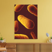 Microscopisch Uitzicht van bacteriën 3 Canvas Afdruk (Insitu (Woonkamer))