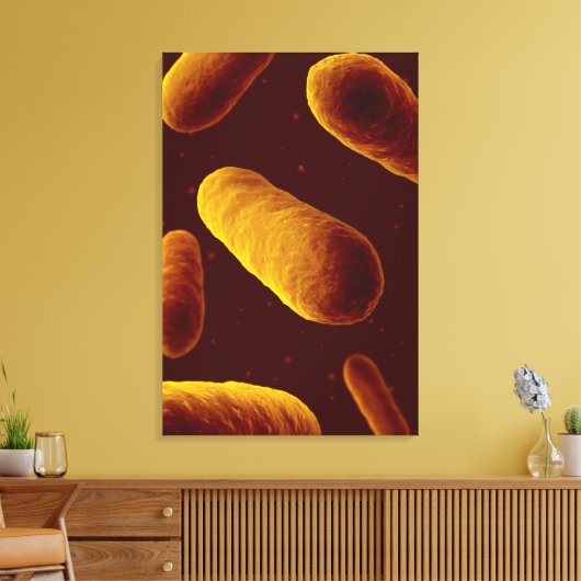 Microscopisch Uitzicht van bacteriën 3 Canvas Afdruk (Insitu (Woonkamer))