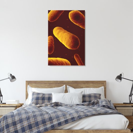 Microscopisch Uitzicht van bacteriën 3 Canvas Afdruk (Insitu (Slaapkamer))