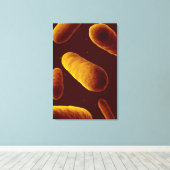 Microscopisch Uitzicht van bacteriën 3 Canvas Afdruk (Insitu (Houten vloer))