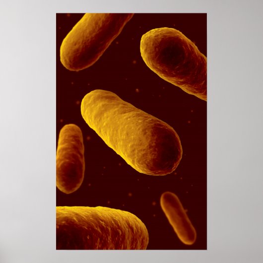 Microscopisch Uitzicht van bacteriën 3 Poster (Voorkant)