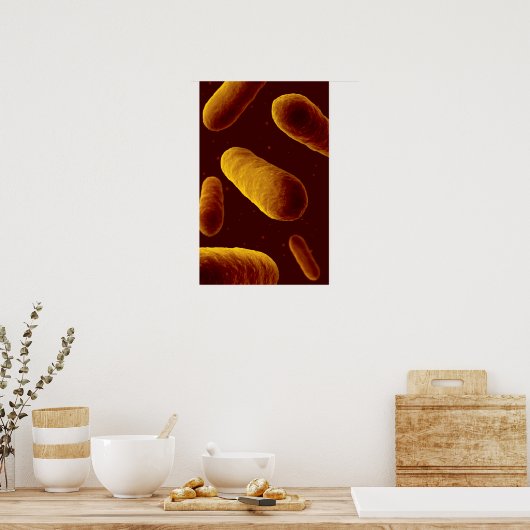 Microscopisch Uitzicht van bacteriën 3 Poster (Keuken)
