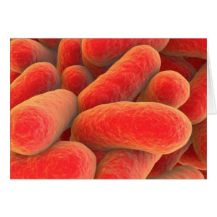 Microscopisch Uitzicht van bacteriën 4