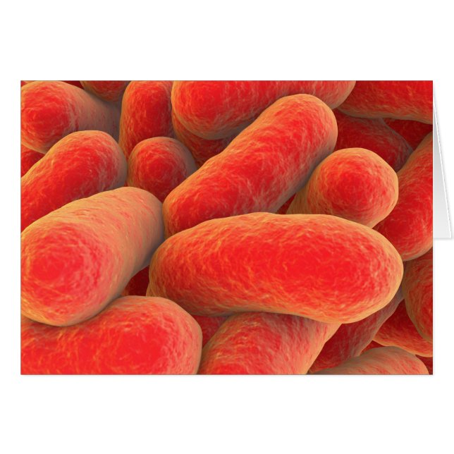 Microscopisch Uitzicht van bacteriën 4 (Voorkant Horizontaal)