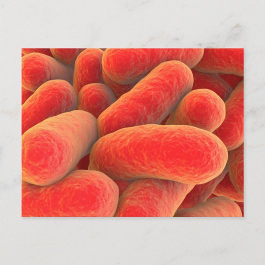 Microscopisch Uitzicht van bacteriën 4 Briefkaart (Voorkant)