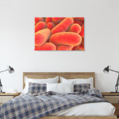 Microscopisch Uitzicht van bacteriën 4 Canvas Afdruk (Insitu (Slaapkamer))