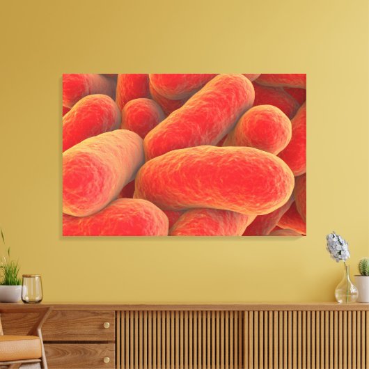 Microscopisch Uitzicht van bacteriën 4 Canvas Afdruk (Insitu (Woonkamer))