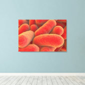 Microscopisch Uitzicht van bacteriën 4 Canvas Afdruk (Insitu (Houten vloer))