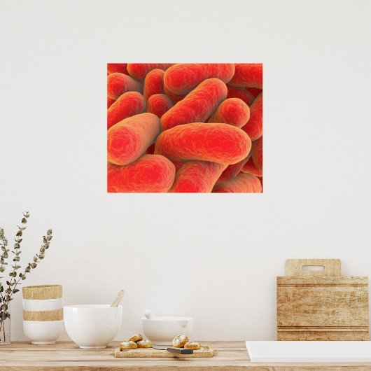 Microscopisch Uitzicht van bacteriën 4 Poster (Keuken)