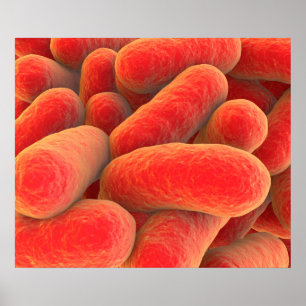 Microscopisch Uitzicht van bacteriën 4 Poster