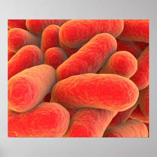 Microscopisch Uitzicht van bacteriën 4 Poster (Voorkant)