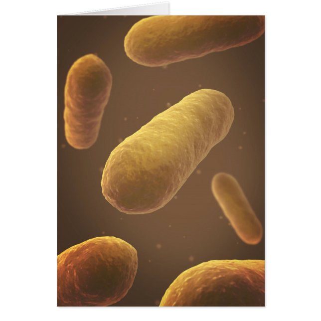 Microscopisch Uitzicht van bacteriën 5 (Voorkant)
