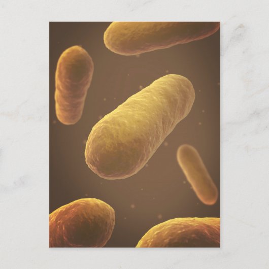 Microscopisch Uitzicht van bacteriën 5 Briefkaart (Voorkant)
