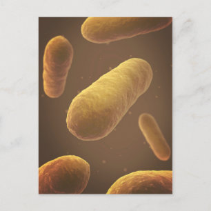 Microscopisch Uitzicht van bacteriën 5 Briefkaart