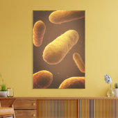 Microscopisch Uitzicht van bacteriën 5 Canvas Afdruk (Insitu (Woonkamer))