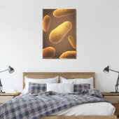 Microscopisch Uitzicht van bacteriën 5 Canvas Afdruk (Insitu (Slaapkamer))