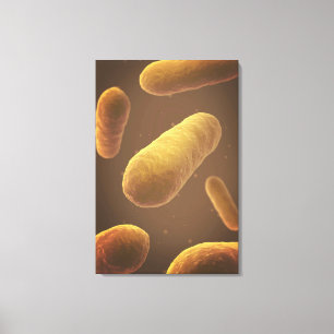 Microscopisch Uitzicht van bacteriën 5 Canvas Afdruk