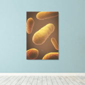 Microscopisch Uitzicht van bacteriën 5 Canvas Afdruk (Insitu (Houten vloer))
