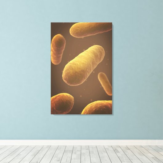 Microscopisch Uitzicht van bacteriën 5 Canvas Afdruk (Insitu (Houten vloer))