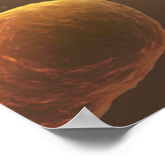 Microscopisch Uitzicht van bacteriën 5 Poster (Hoek)