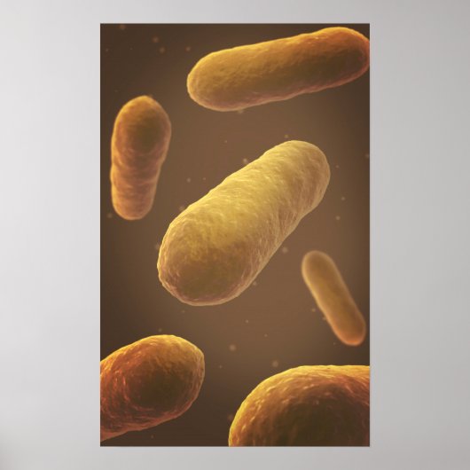 Microscopisch Uitzicht van bacteriën 5 Poster (Voorkant)