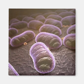 Microscopisch uitzicht van bacteriën magneet (Voorkant)