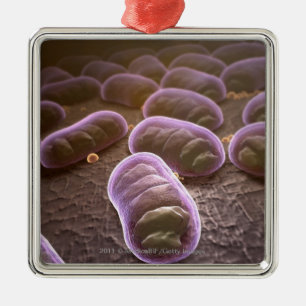 Microscopisch uitzicht van bacteriën metalen ornament