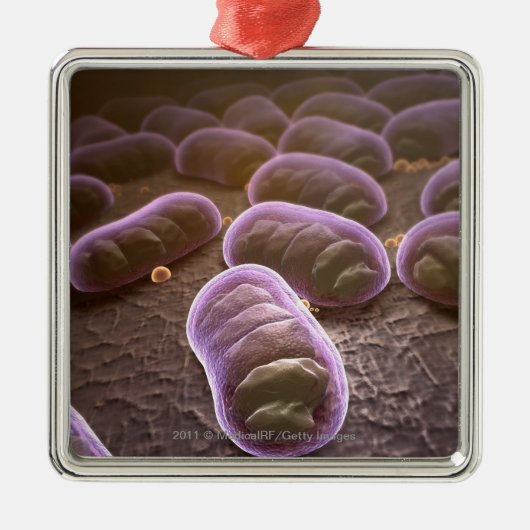 Microscopisch uitzicht van bacteriën metalen ornament (Voorkant)