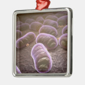 Microscopisch uitzicht van bacteriën metalen ornament (Links)