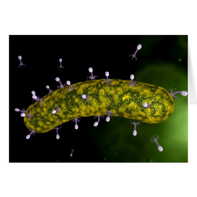 Microscopisch Uitzicht van bacteriofaag (Voorkant Horizontaal)