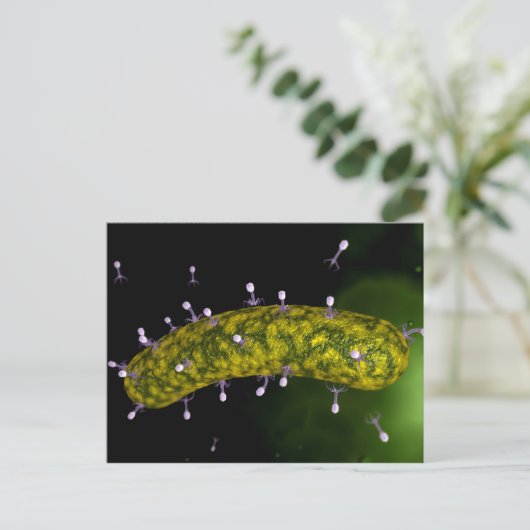Microscopisch Uitzicht van bacteriofaag Briefkaart (Staand voorkant)