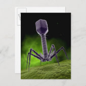 Microscopisch Uitzicht van bacteriofaag Briefkaart (Voorkant / Achterkant)
