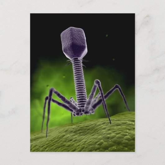 Microscopisch Uitzicht van bacteriofaag Briefkaart (Voorkant)