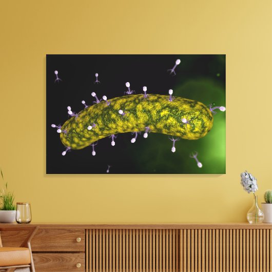 Microscopisch Uitzicht van bacteriofaag Canvas Afdruk (Insitu (Woonkamer))